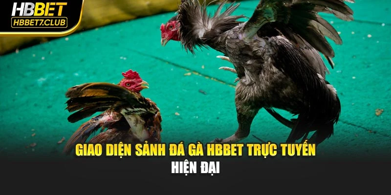 Giao diện sảnh đá gà hbbet trực tuyến hiện đại