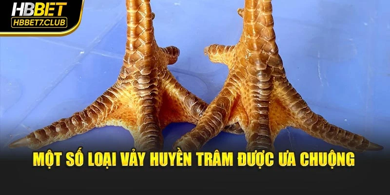 Một số loại vảy Huyền Trâm được ưa chuộng